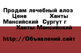 Продам лечебный алоэ › Цена ­ 1 000 - Ханты-Мансийский, Сургут г.  »    . Ханты-Мансийский